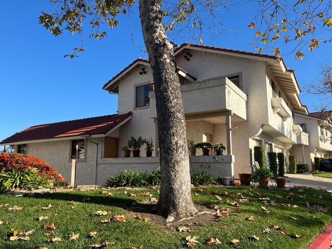 Building Photo - 3070 Corte Trabuco