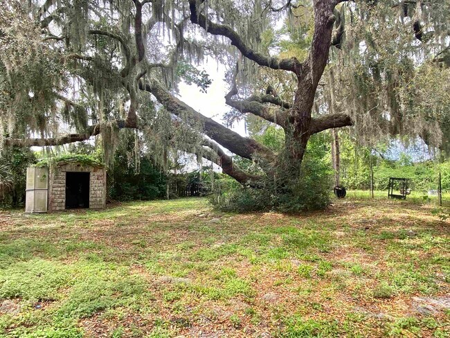 Building Photo - 3715 Bluff Ln
