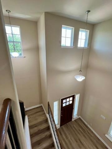 Building Photo - 13521 Red Egret Dr