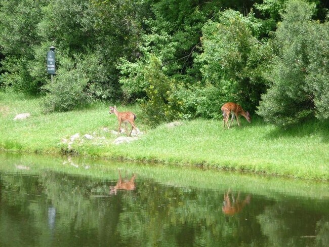 Building Photo - Available May 11th. Gorgeous 4 BR/2.5 BA Home Available in Berkleigh!