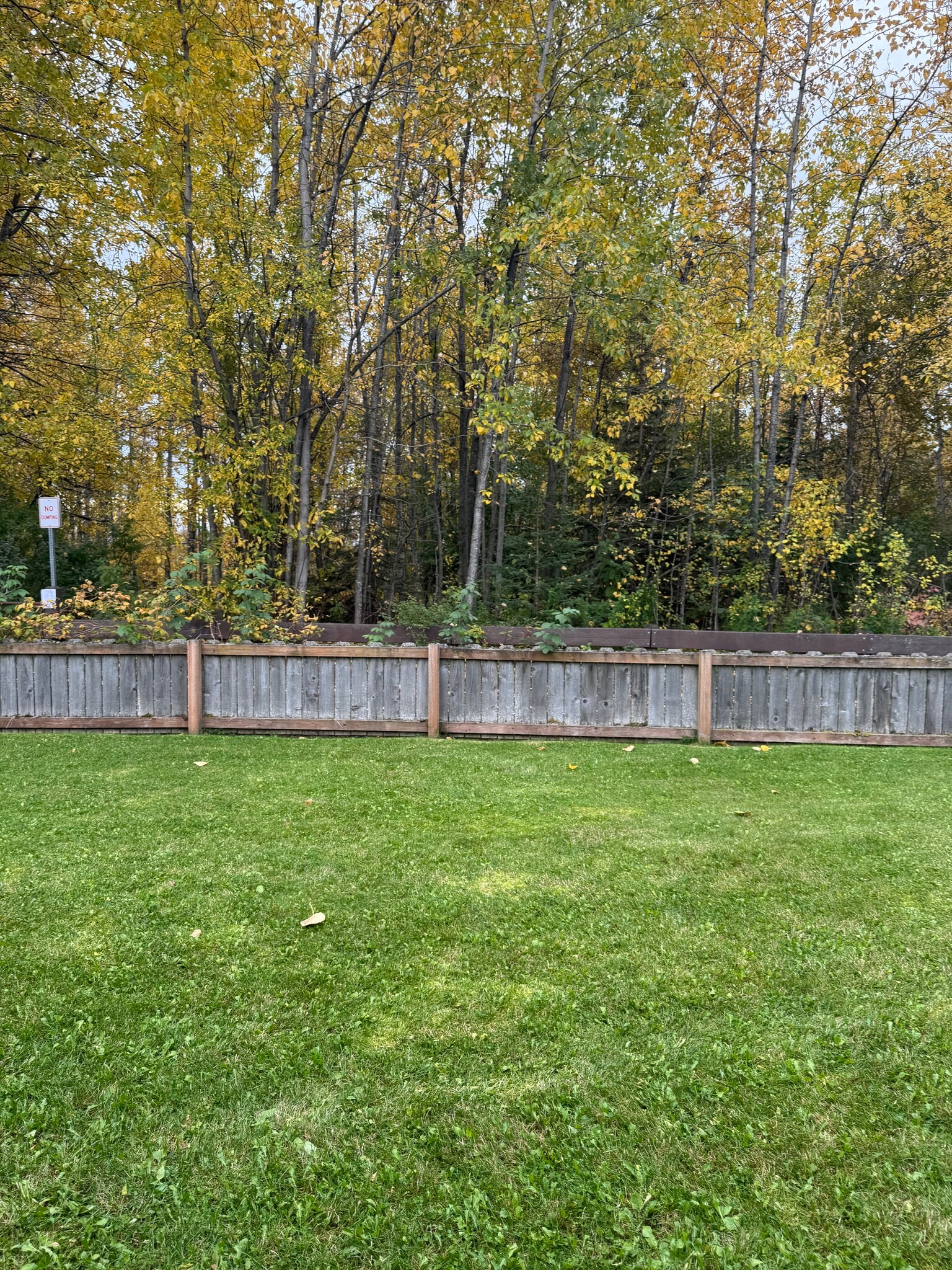 Building Photo - 701 Cedar St