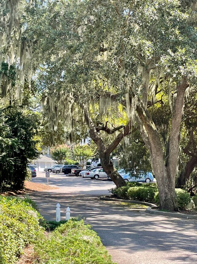 Building Photo - 1231 Ladys Island Dr