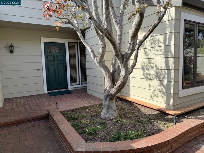Building Photo - 1168 Alta Mesa