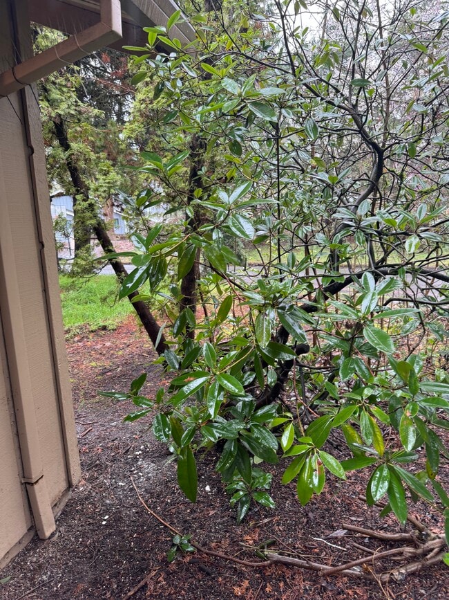 Building Photo - Fully Renovated 2 bedroom, 1.5 bath Apartment with New Appliances and Separate Garage!  Fully Rem...