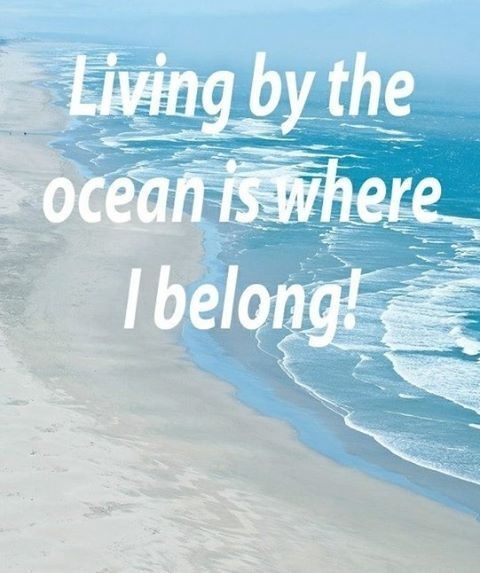 Enjoy - 1865 79th Street Cswy