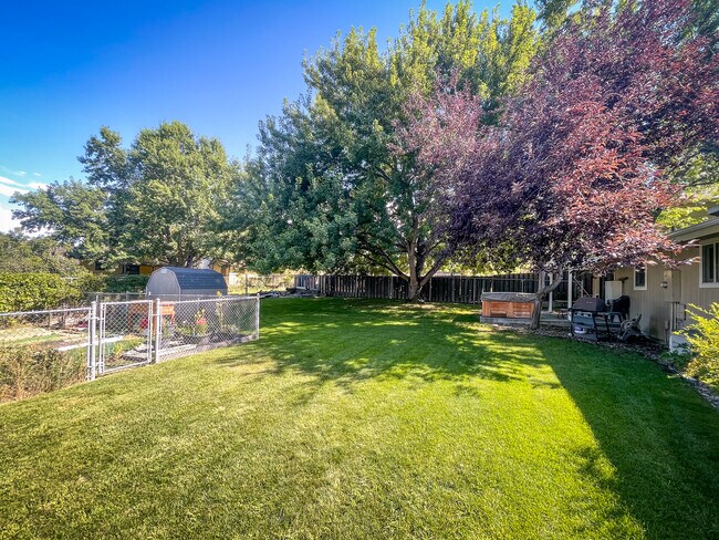 Large backyard, including fenced garden, firepit and equipment shed - 731 Garnet Ave