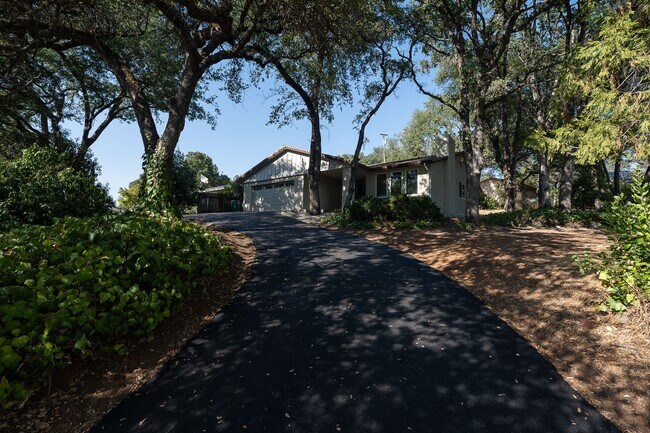 Building Photo - Beautiful Cameron Park New Build!