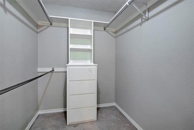 Building Photo - 14822 Sopras Cir