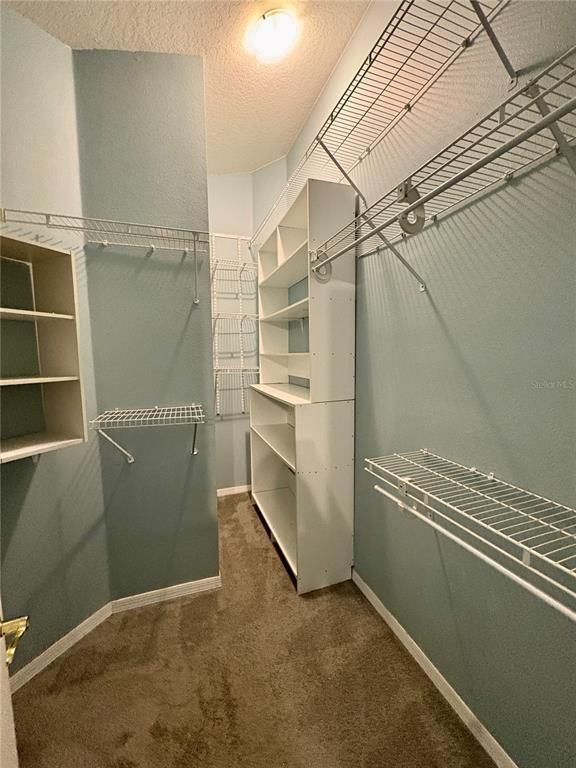 Building Photo - 3325 Manor Cove Cir