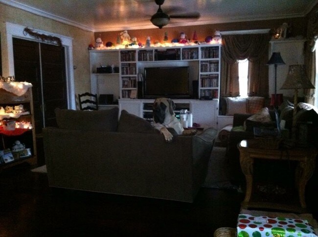 Building Photo - 1110 Waverly Pl