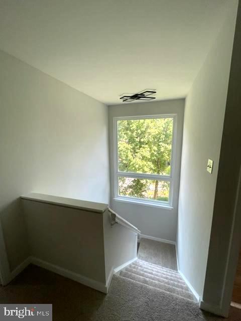 Building Photo - 6411 Cherokee Ct