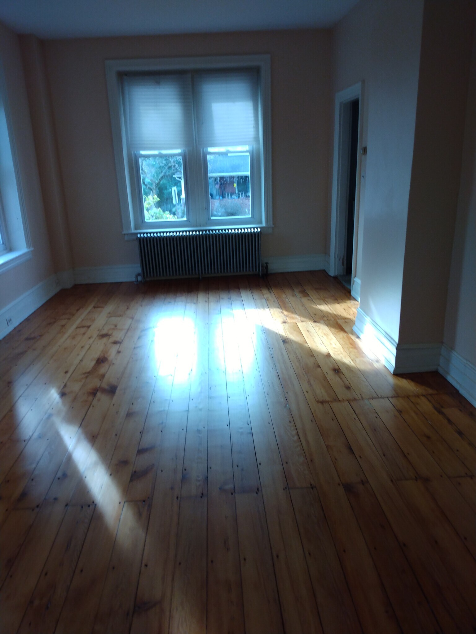 Living room - 417 W Walnut St