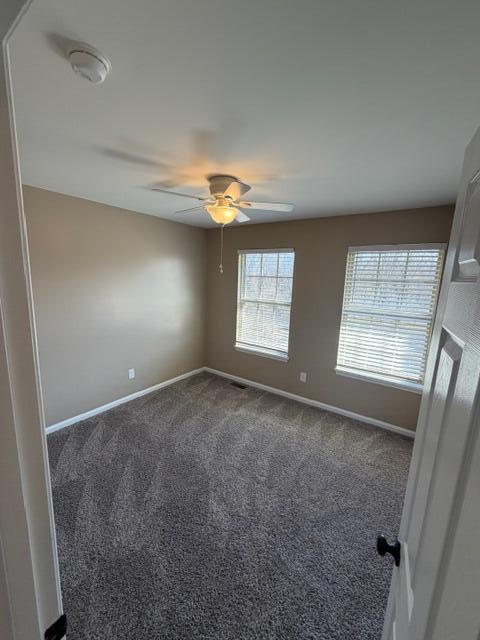 Building Photo - 3815 Lady Di Ln