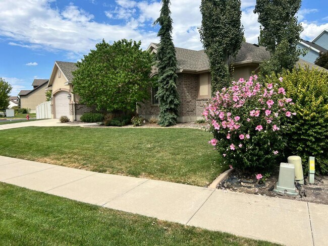 Building Photo - 564 Spring Meadow Ln
