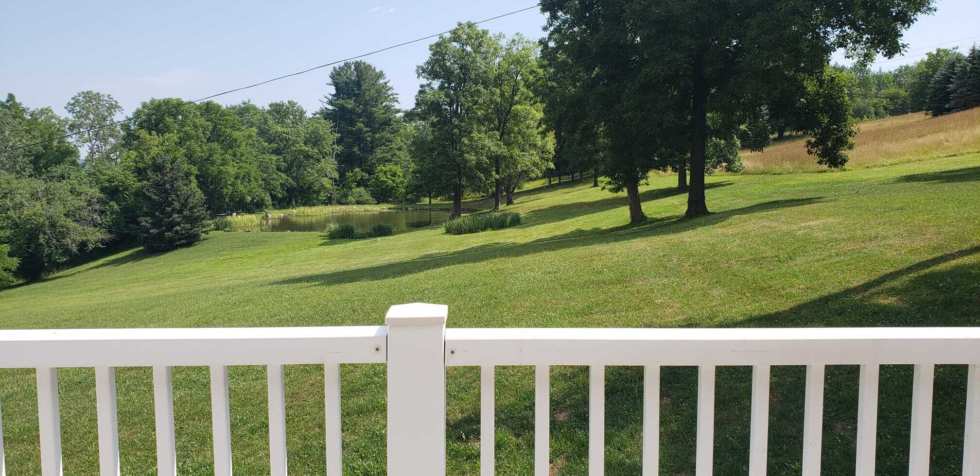 View on outdoors and pond - 1307 Dryden Rd
