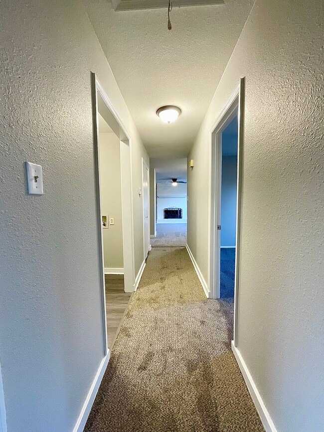 Building Photo - 2003 Doris Dr