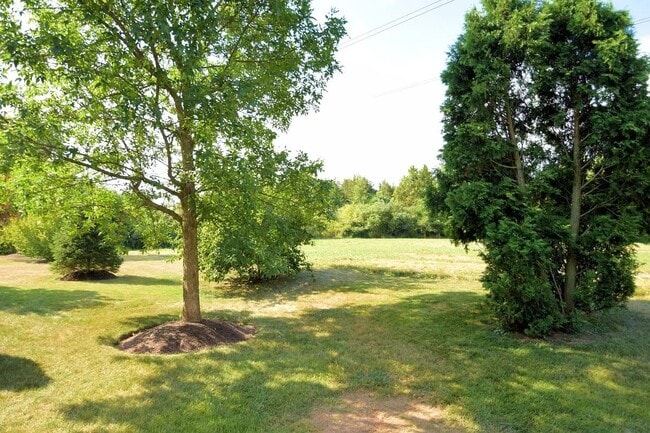 Building Photo - 555 Broxton Ct