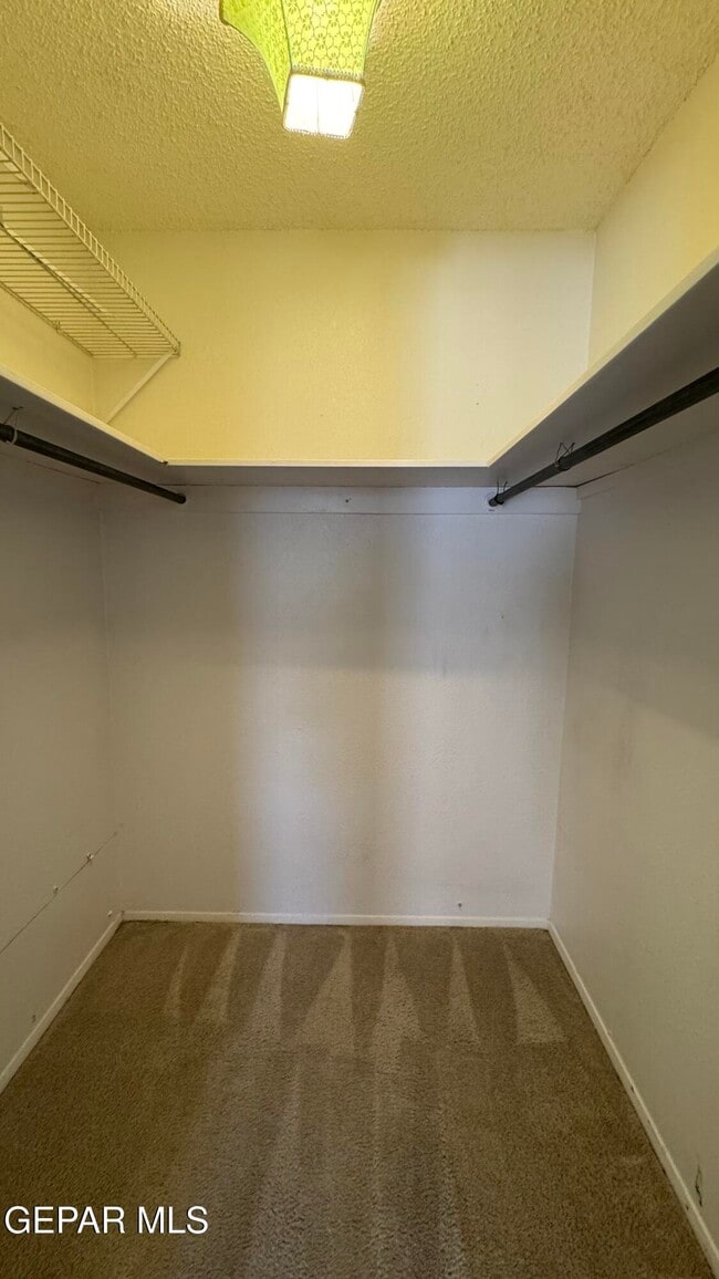 Building Photo - 10613 Springwood Dr