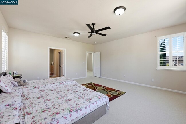 Building Photo - 165 Paddington Ct