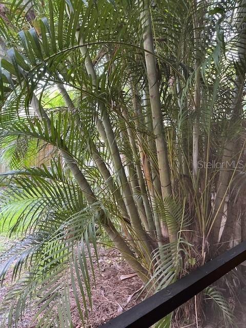 Building Photo - 10196 Sailwinds Blvd S