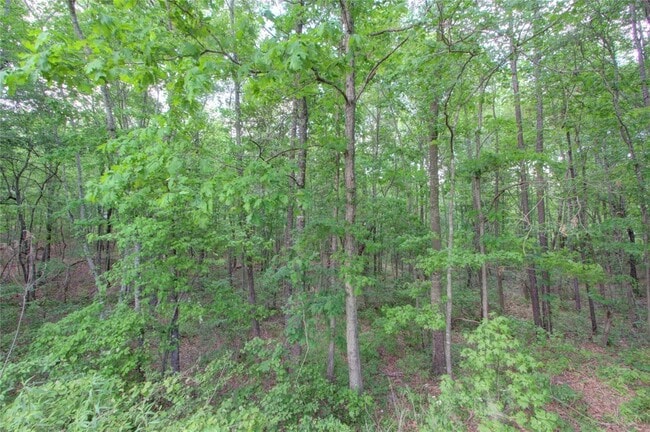 Building Photo - 720 Tennessee Acres Dr