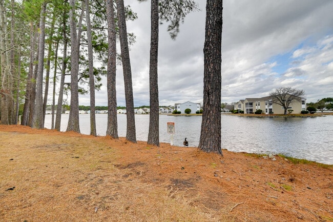 Building Photo - 140 Spanish Oak Dr