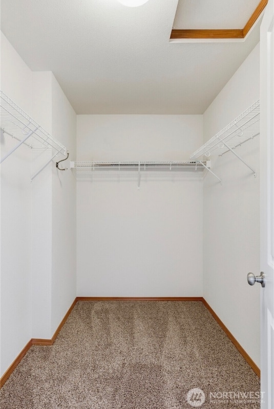 Building Photo - 3043 Scotland Alley