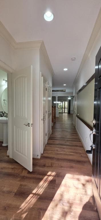 Building Photo - 1006 Indigo Ridge Pl