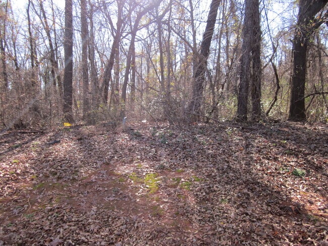 Building Photo - ALMOST NEW 4BEDROOM/3BATH HOME ON CORNER L...