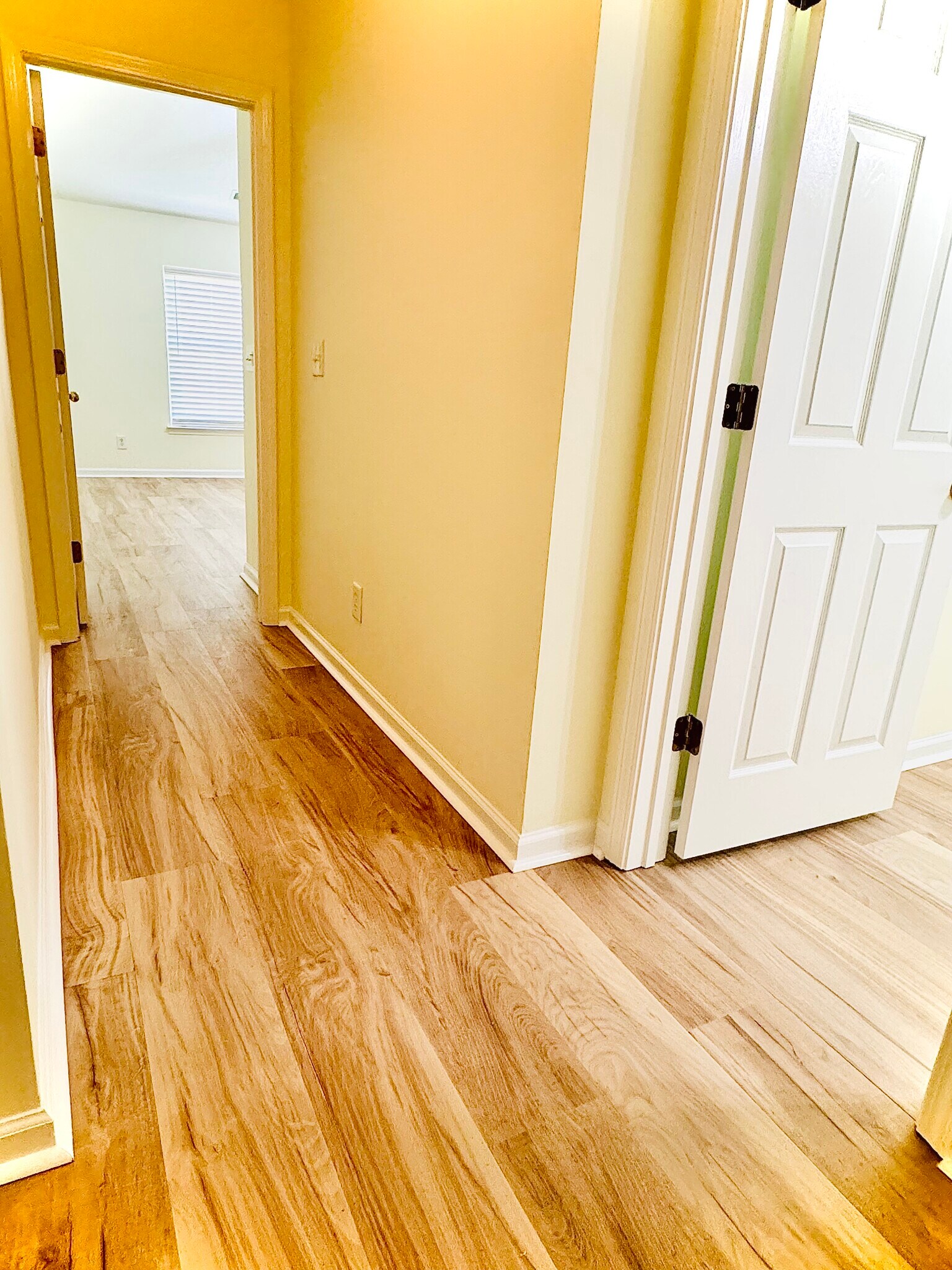 Building Photo - 188 Tibton Cir