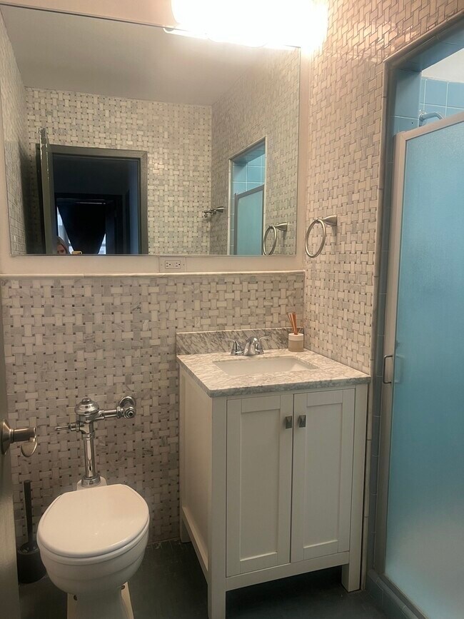 Building Photo - 1000 N Lake Shore Dr