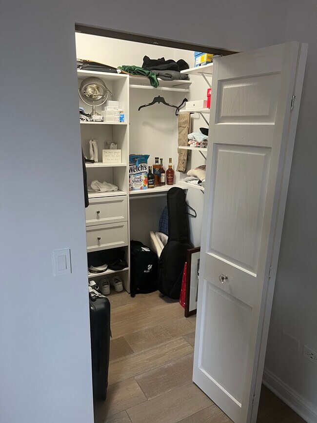 Second bedroom walk-in closet - 635 N Dearborn St