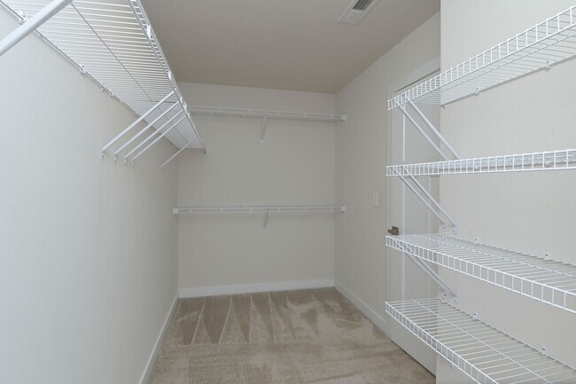 Building Photo - 217 Golden Fluke Dr