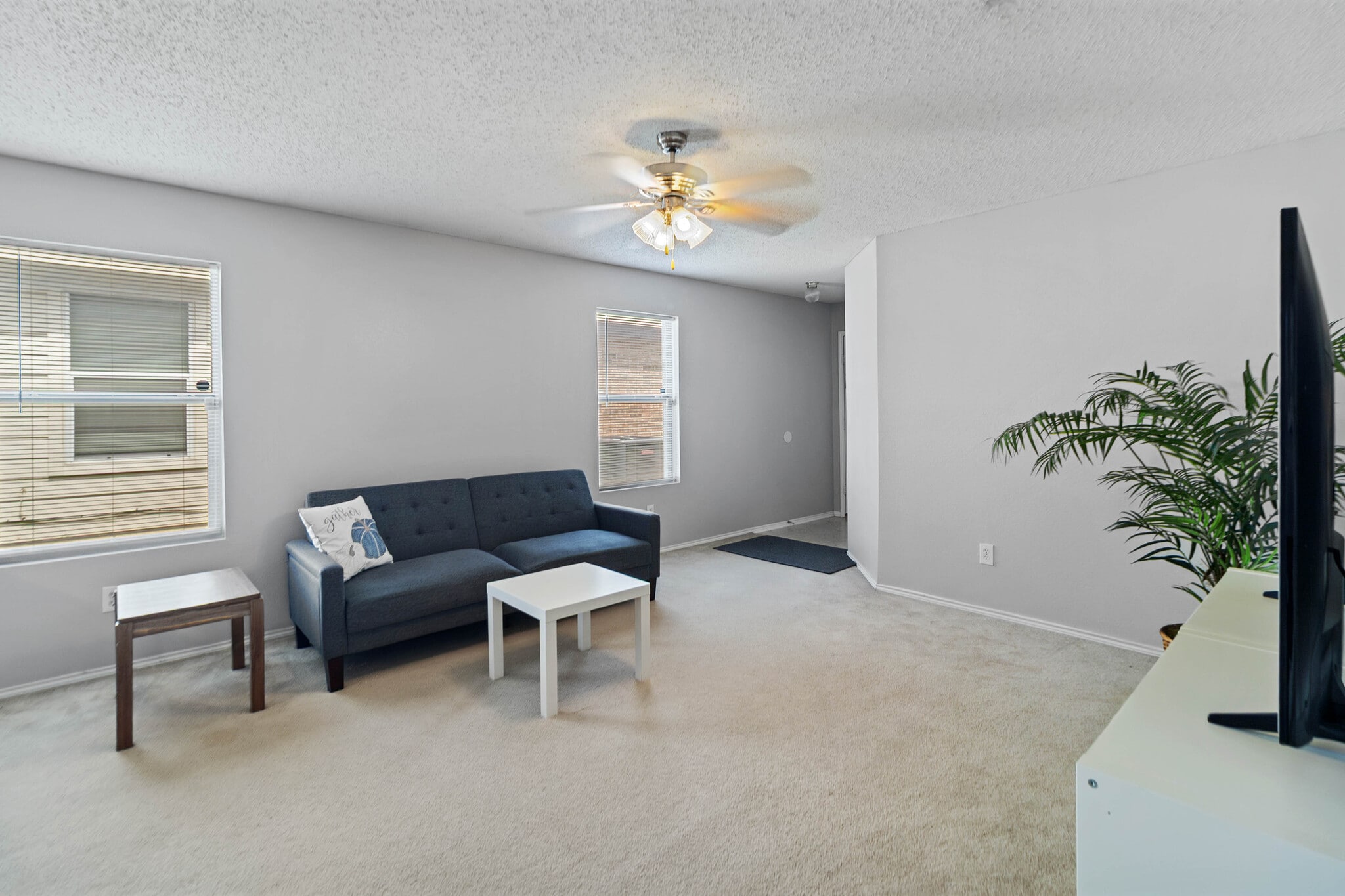 Living room - 6717 Waterhill Ln