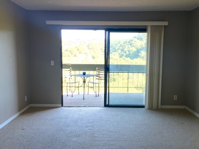 Building Photo - Large 3 bedroom, 2 bathroom condo with ama...