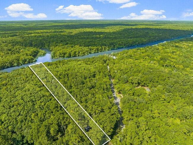 Building Photo - 493 Choctawhatchee River Rd