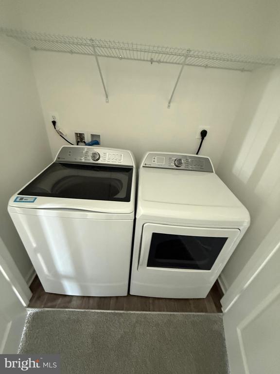 Building Photo - 36106 Wilderness Shores Way