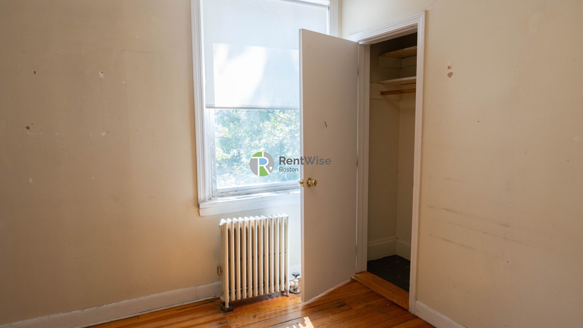 Building Photo - 1132 Commonwealth Ave