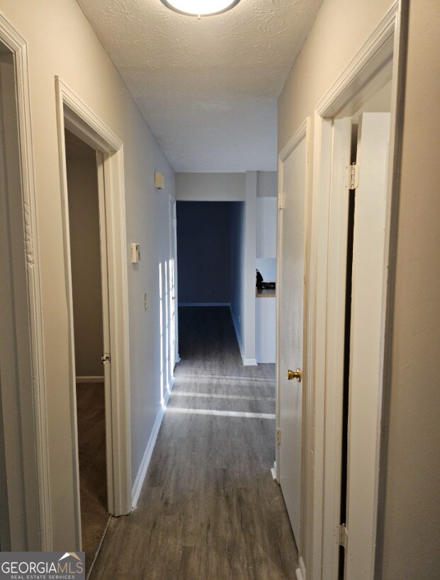Building Photo - 8147 Flamingo Dr