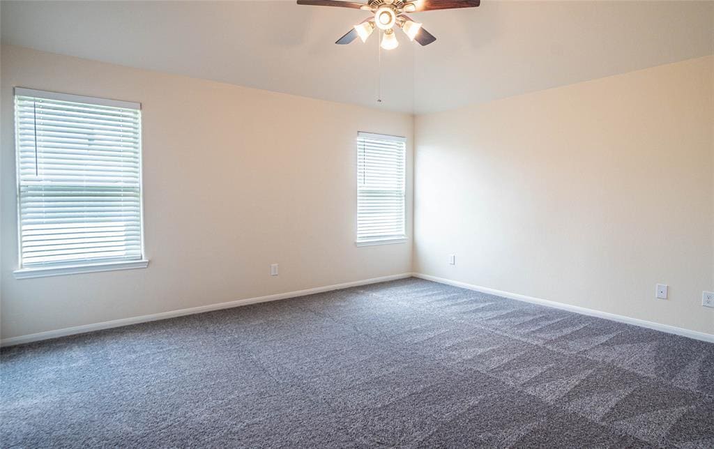 Building Photo - 3806 E Briarlilly Park Cir