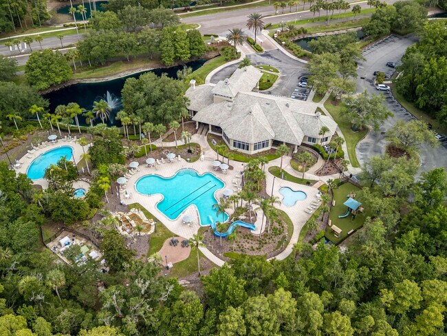 Building Photo - Tampa Palms Condo