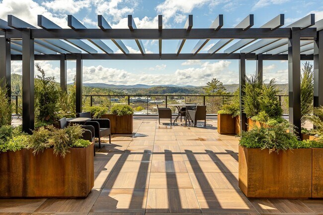 Roof top deck w plants & furniture - 69 Etna Rd