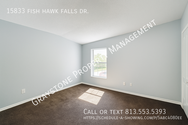 Building Photo - 15833 Fishhawk Falls Dr