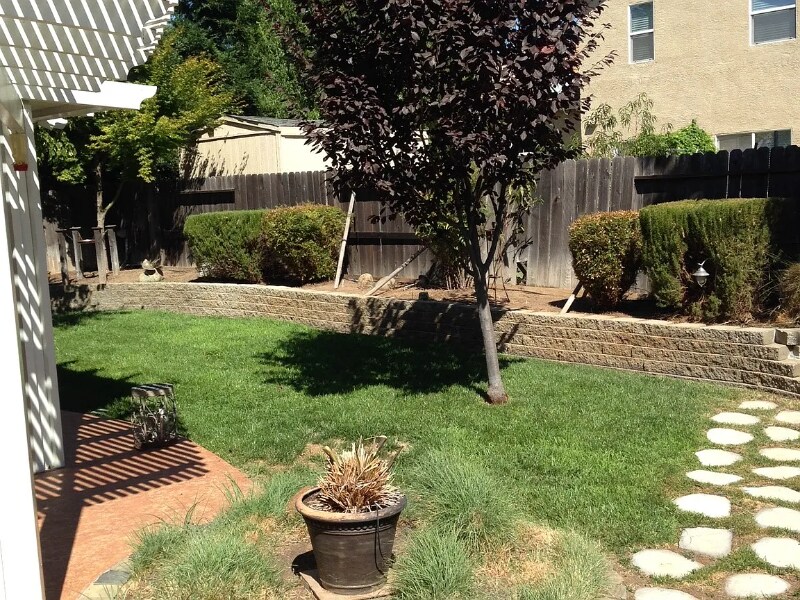 Building Photo - 142 Mike Gartrell Cir