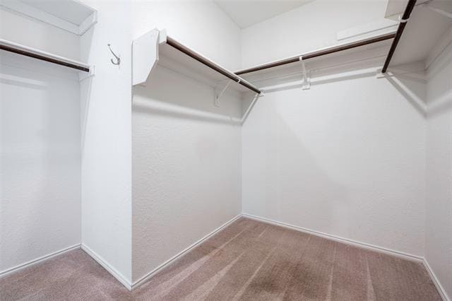 Building Photo - 4136 Down Rush Dr