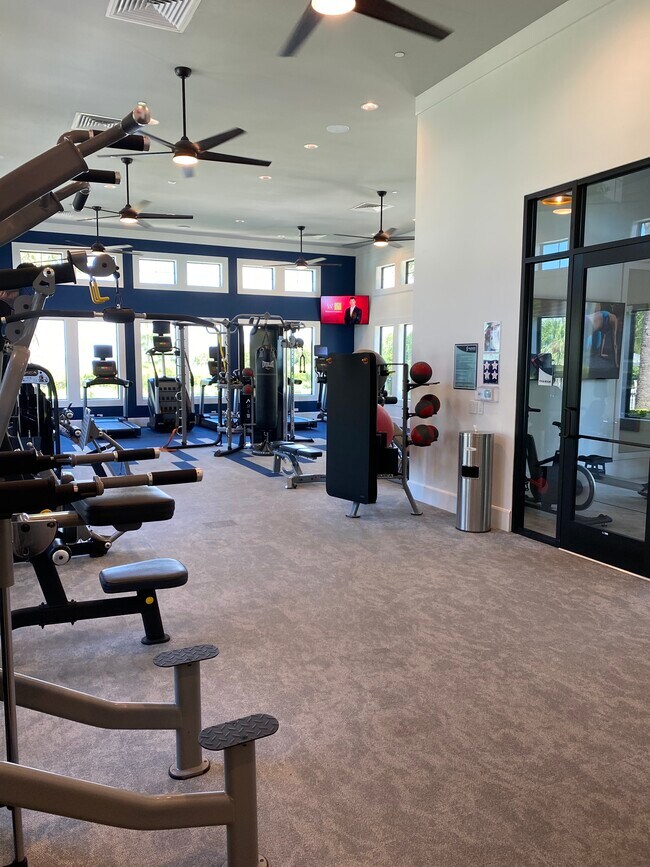 24hr Full Gym - 19369 US Highway 19 N