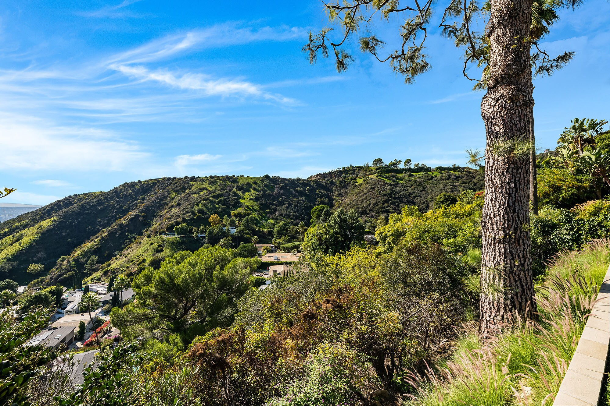 Building Photo - 2431 Carman Crest Dr