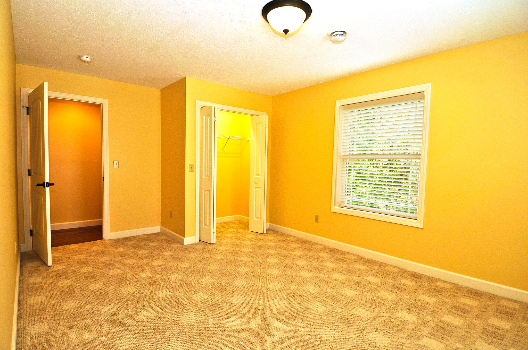 bed2 - 501 Crawford Ave