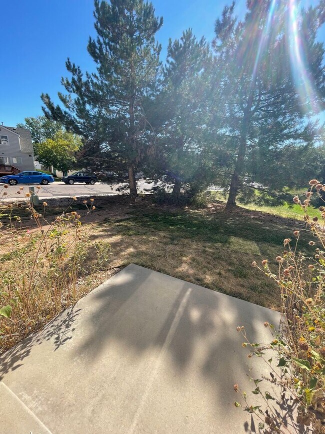Building Photo - 2900 Ross Dr