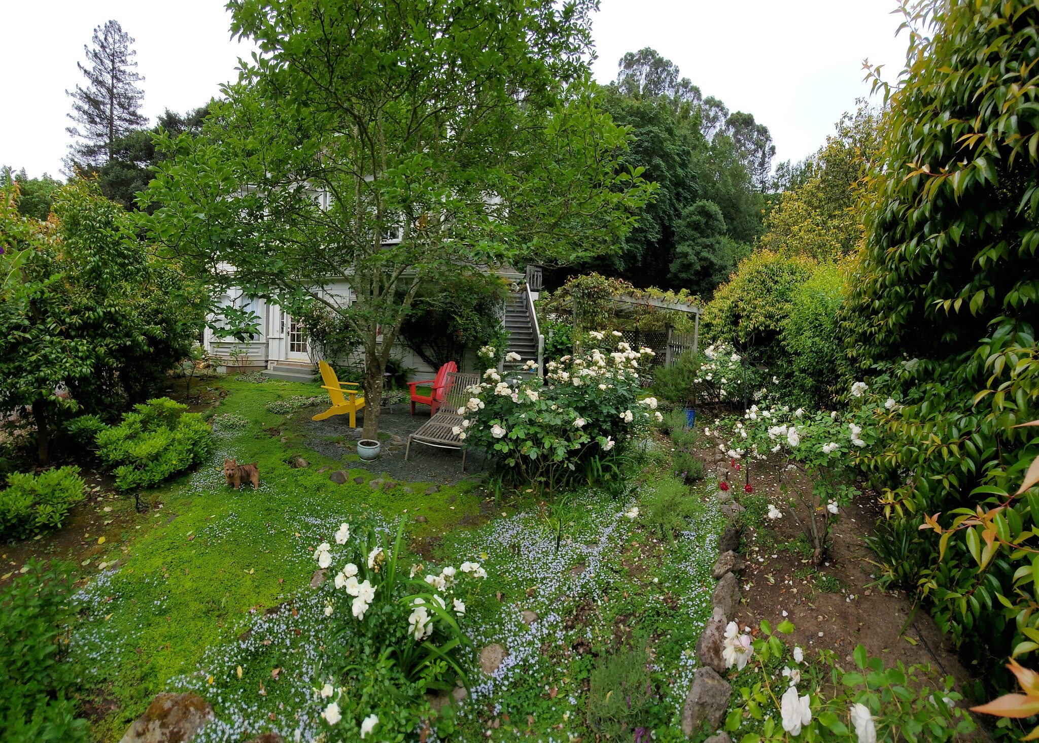 Garden - 14 Sentinel Ct